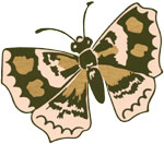 Butterfly Frieze detail